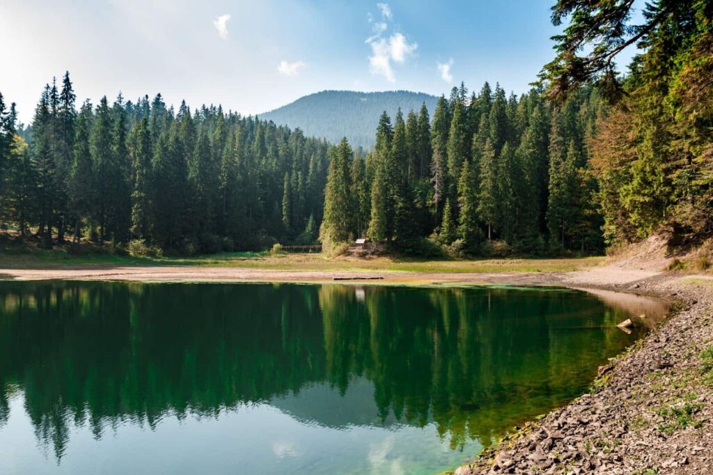 Lake high in mountains and forest