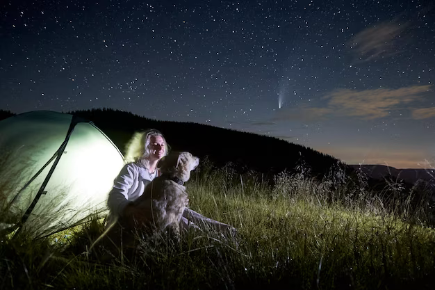 A girl with a dog looks at the starry sky