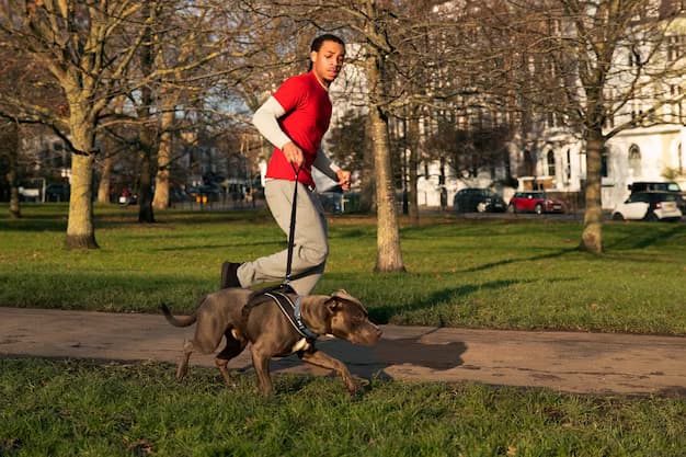 A man runs with a dog