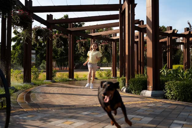 A girl runs after a dog in the park