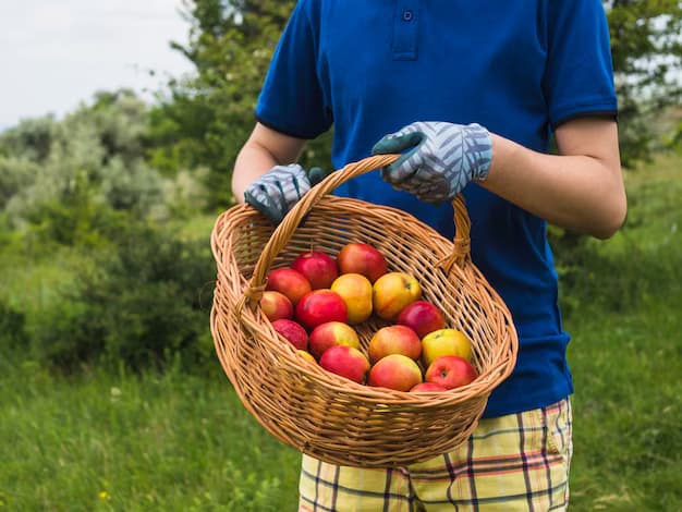 Man holding a basket of apples