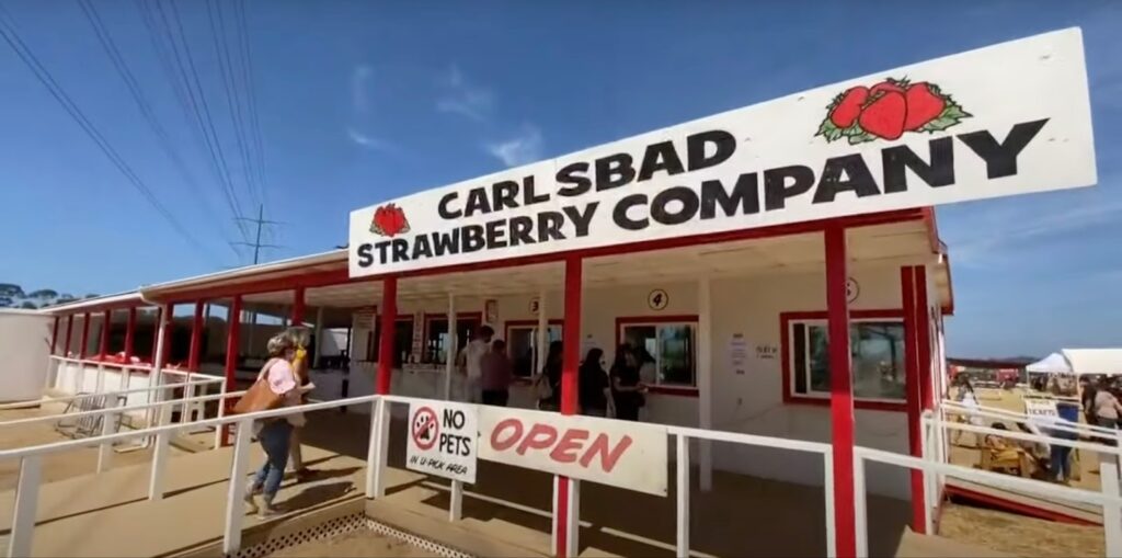 Carlsbad Strawberry Company sign