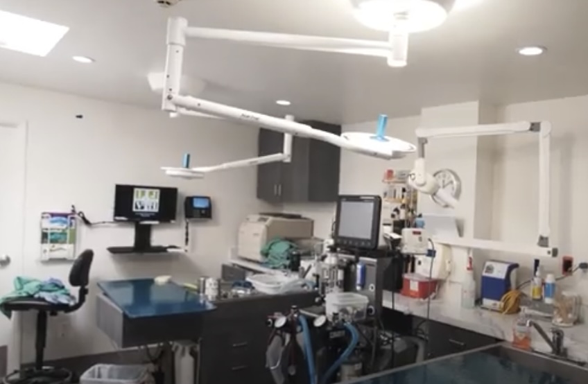 La Jolla Veterinary Clinic