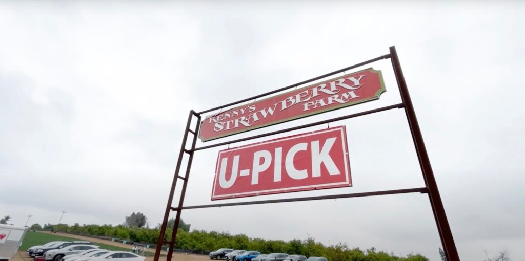 Kenny’s Strawberry Farms sing