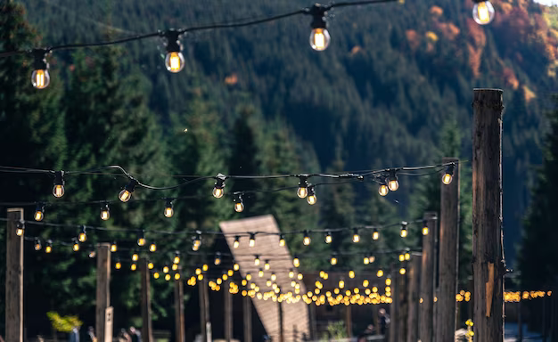 Light bulbs on wooden beams