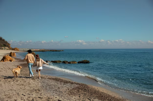 People with a dog walking on the beach