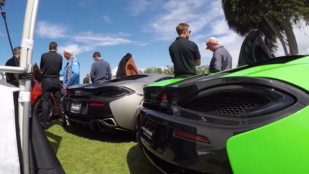 man standing near sports cars on the grass, the palms and cloudy blue sky on the background
